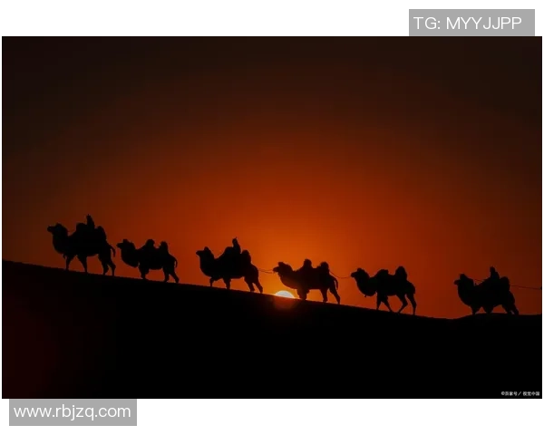 探索阿拉巴的魅力与文化底蕴，感受这片土地的独特风情与历史传承